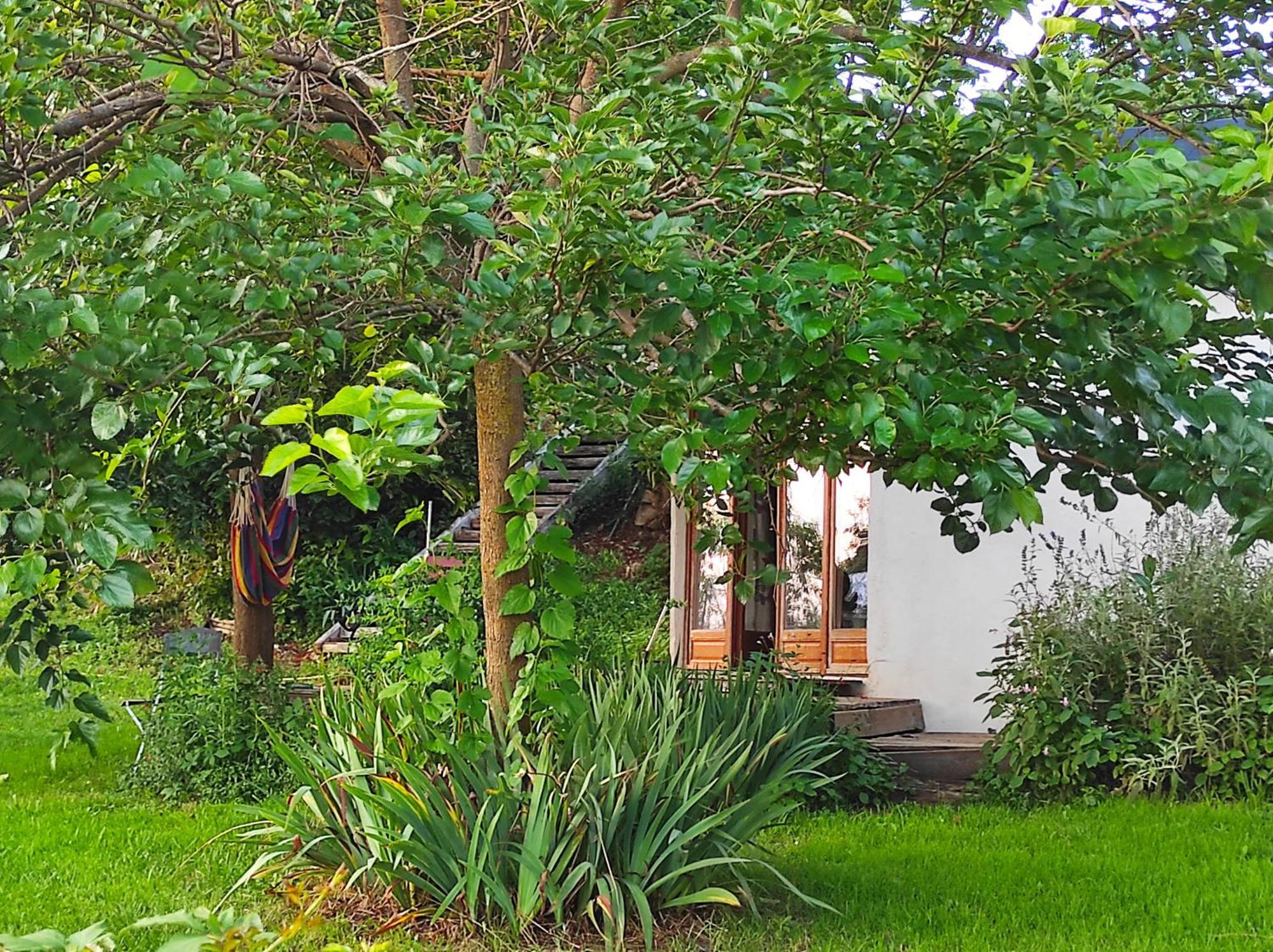 Bout De Cote Bed & Breakfast Lacam-d'Ourcet Bagian luar foto