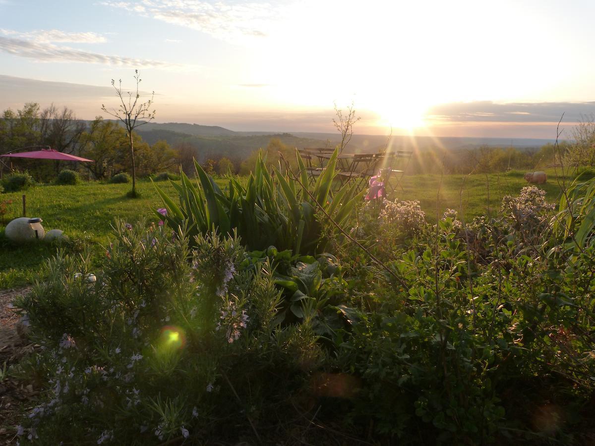 Bout De Cote Bed & Breakfast Lacam-d'Ourcet Bagian luar foto